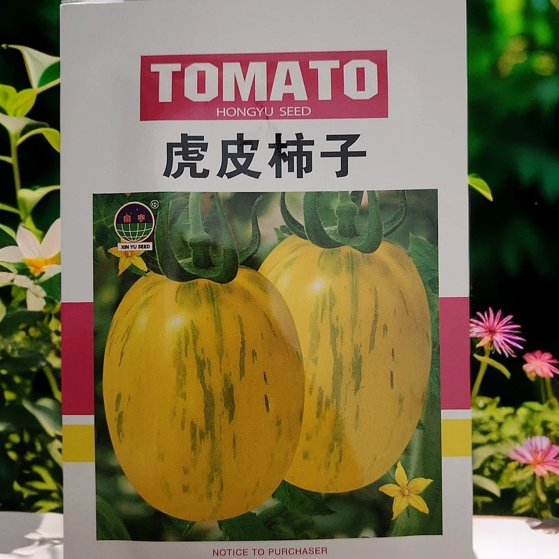 虎皮柿子籽300粒左右拍一发二（新老包装随机发）