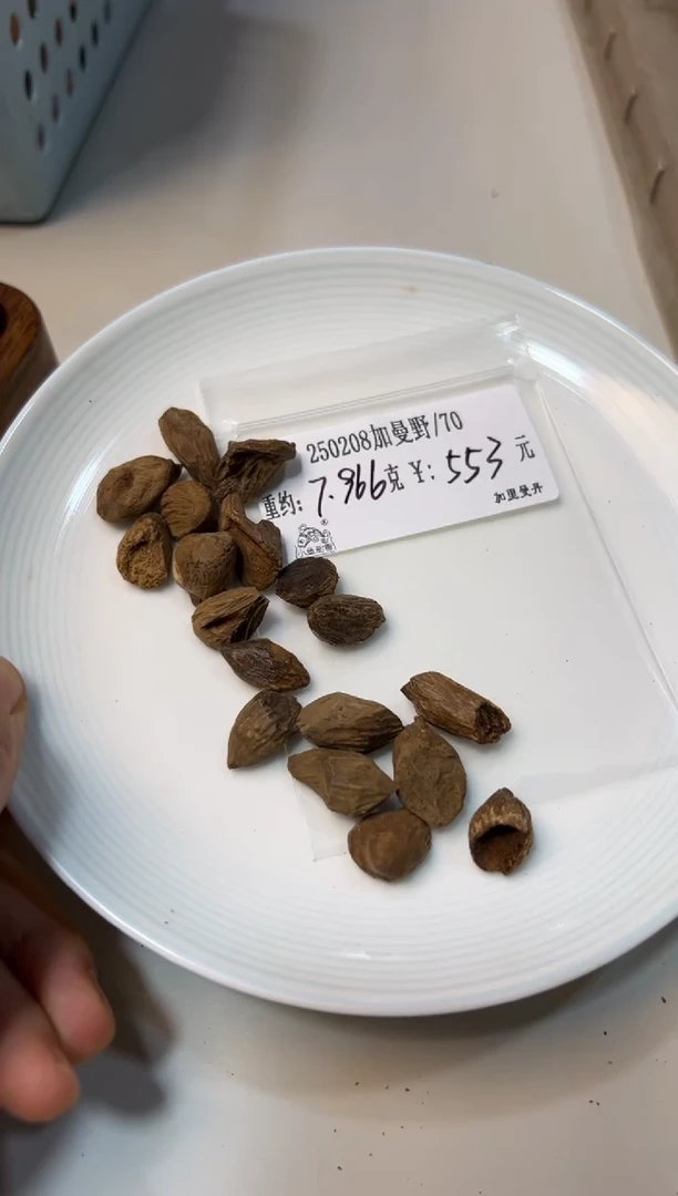 【闪购商品】木250208加曼野  7.966克