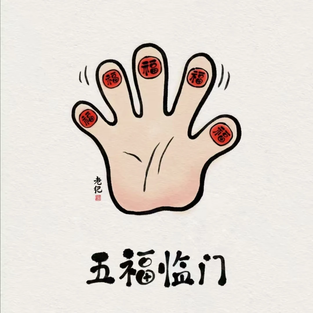 【百丽多肉】新五福临门  拼盘组合多肉植物批发一单包邮大福利品