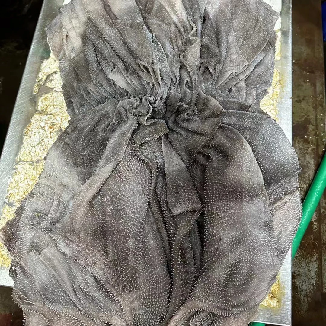 水牛毛肚【限量】 固形物含量90%