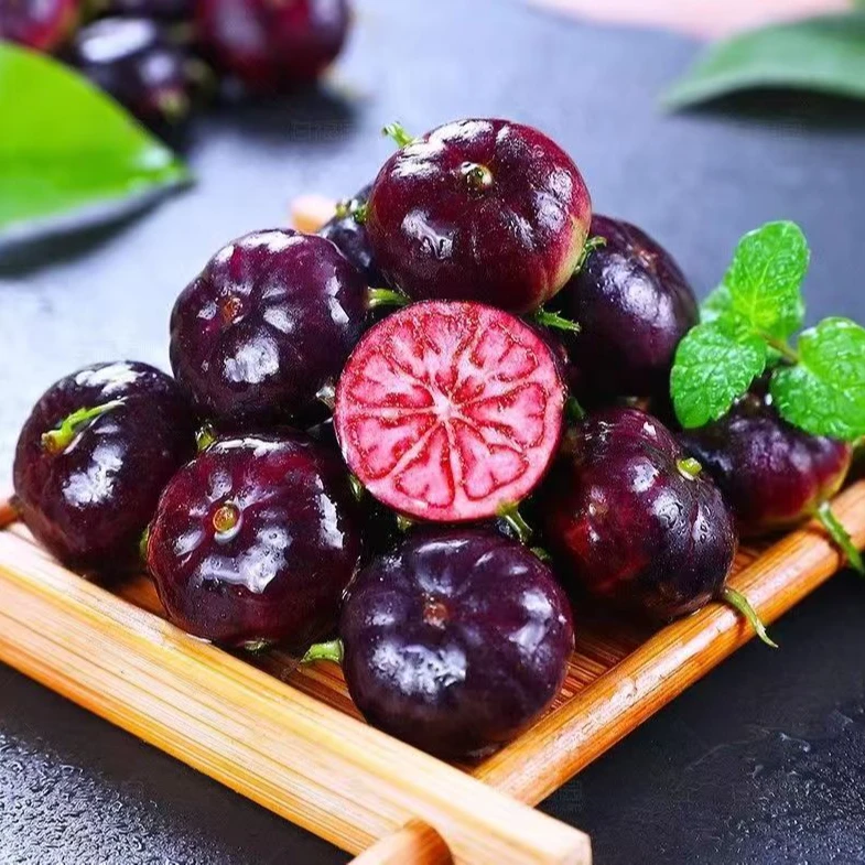 【谢永强专属】红果参高端浆果沙沙脆脆清甜爽口YQ