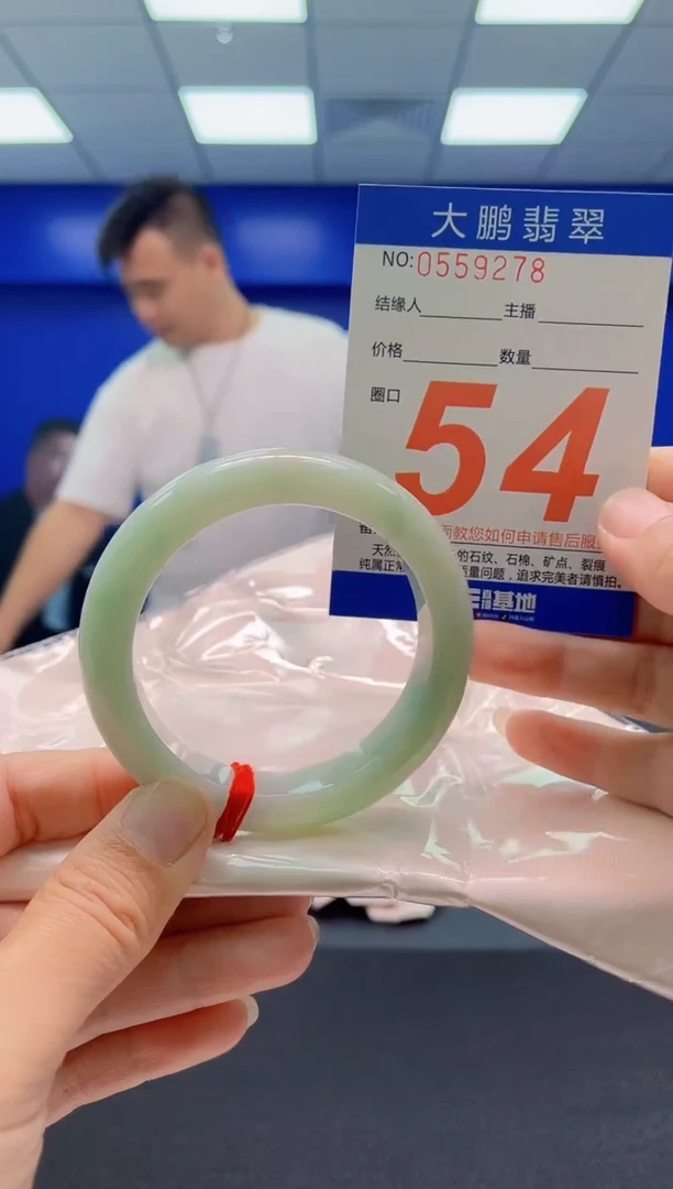 未镶嵌手镯翡翠AAAAAAAAA