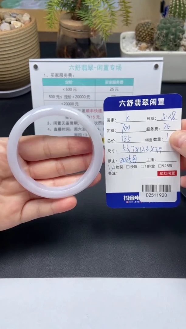 翡翠手镯未镶嵌D2511920