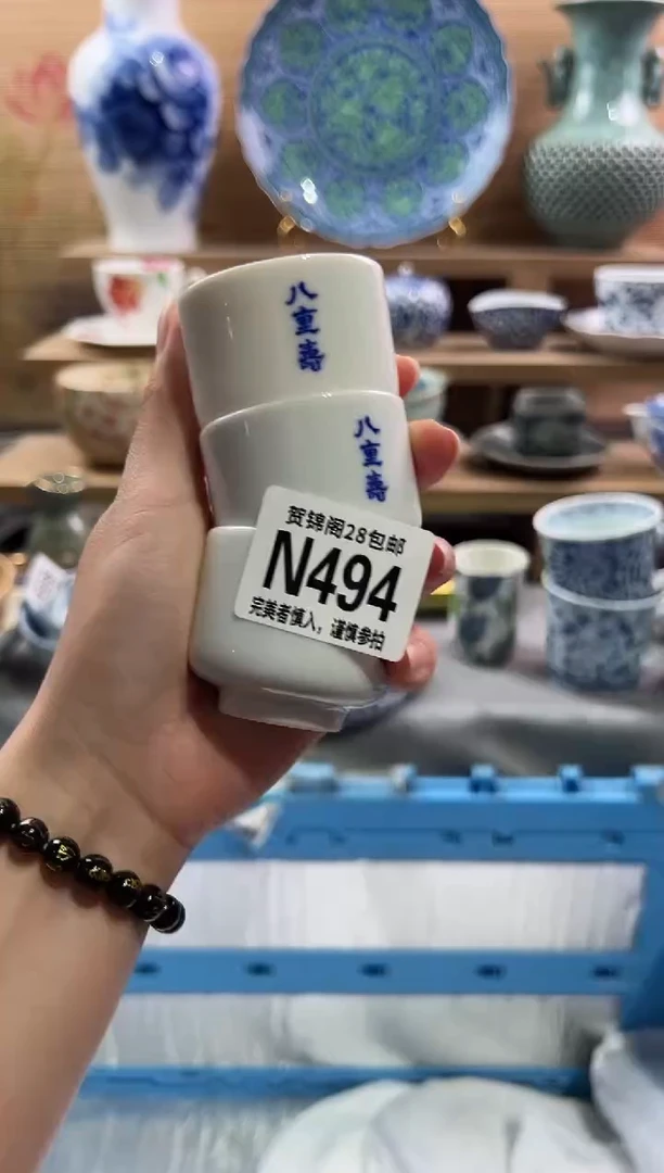 瓷片---------N494