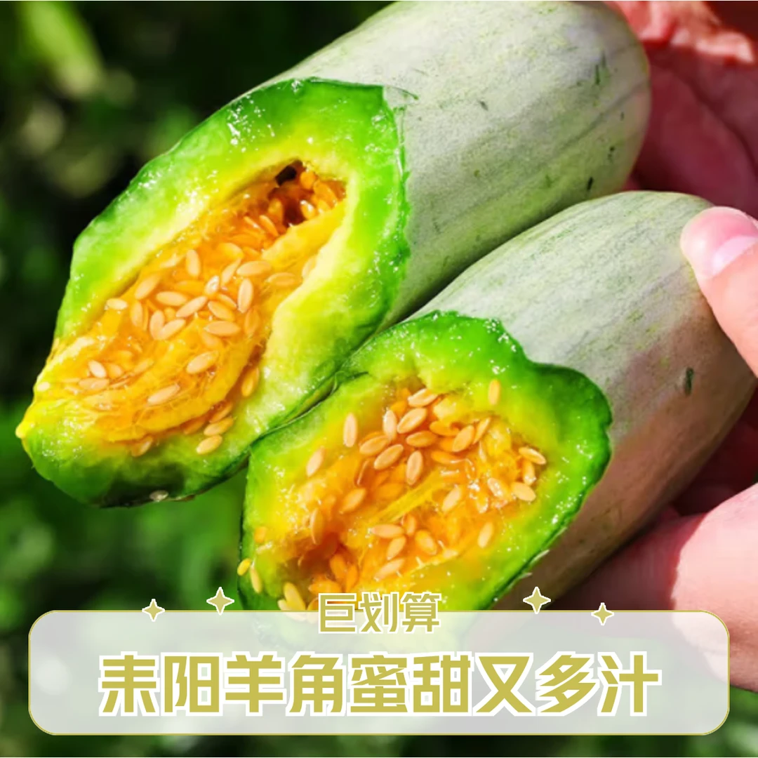 [耒阳闪送]羊角蜜甜瓜当季鲜孕妇水果香甜瓜500G