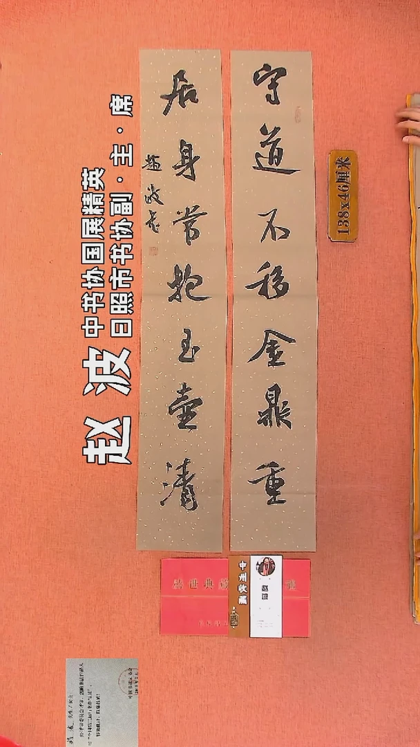 【闪购商品】书法17         赵波老师作品