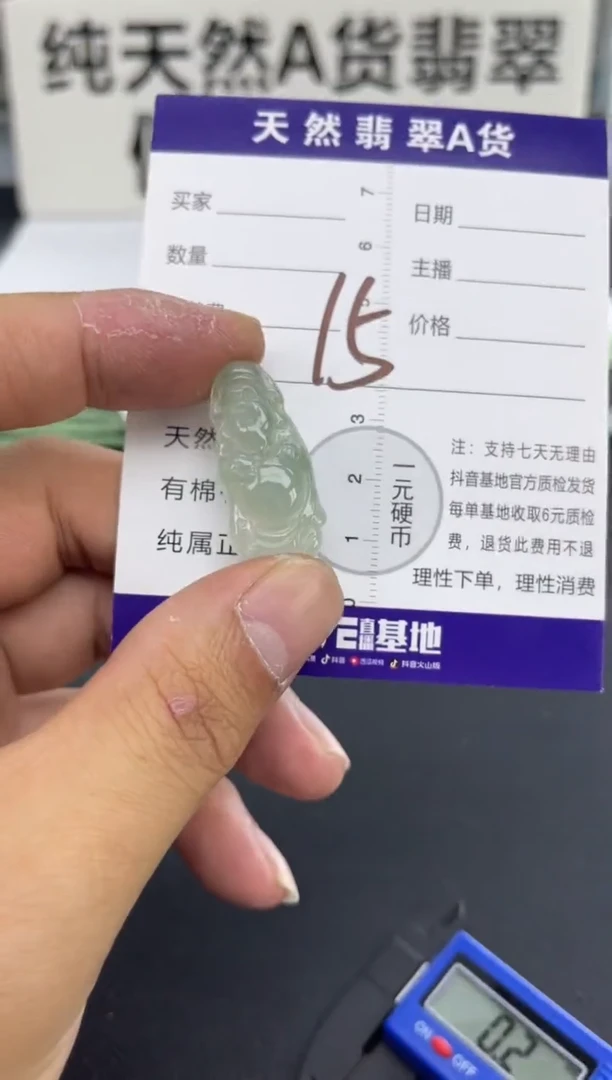 颈饰未镶嵌翡翠天然A货缅甸翡翠