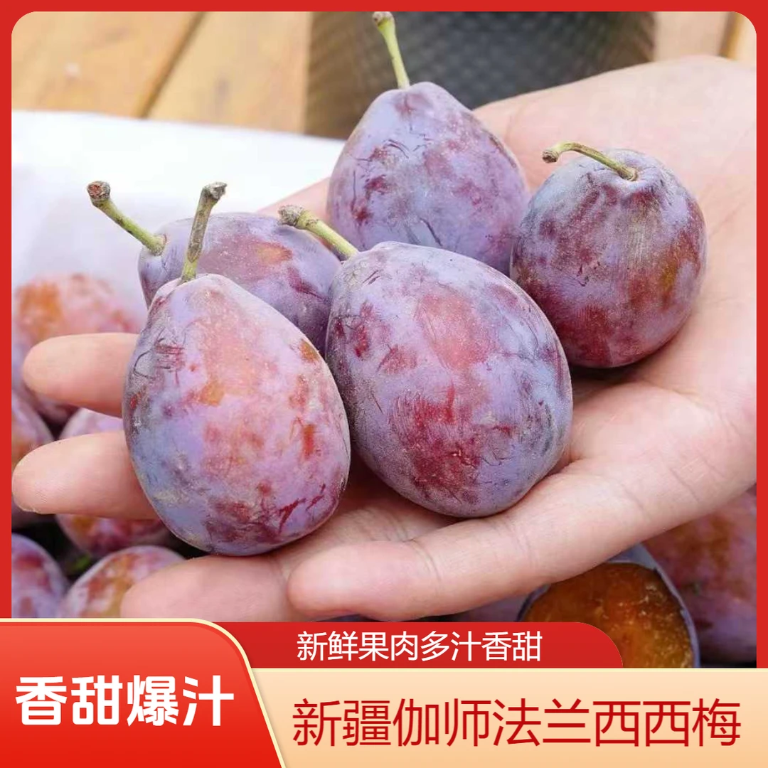 【疆十五】【顺丰快递】新疆喀什伽师县法兰西西梅 2/3/4斤 香甜多汁
