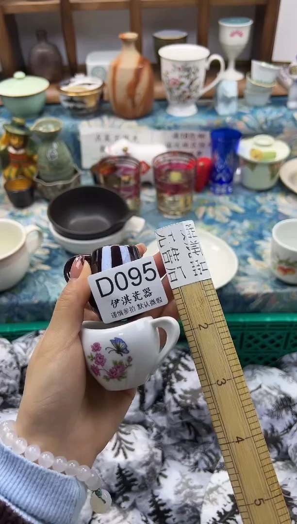 瓷片柳*              D095