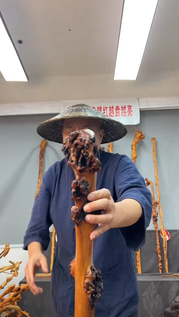 【闪购商品】黑果木其他黑果木894