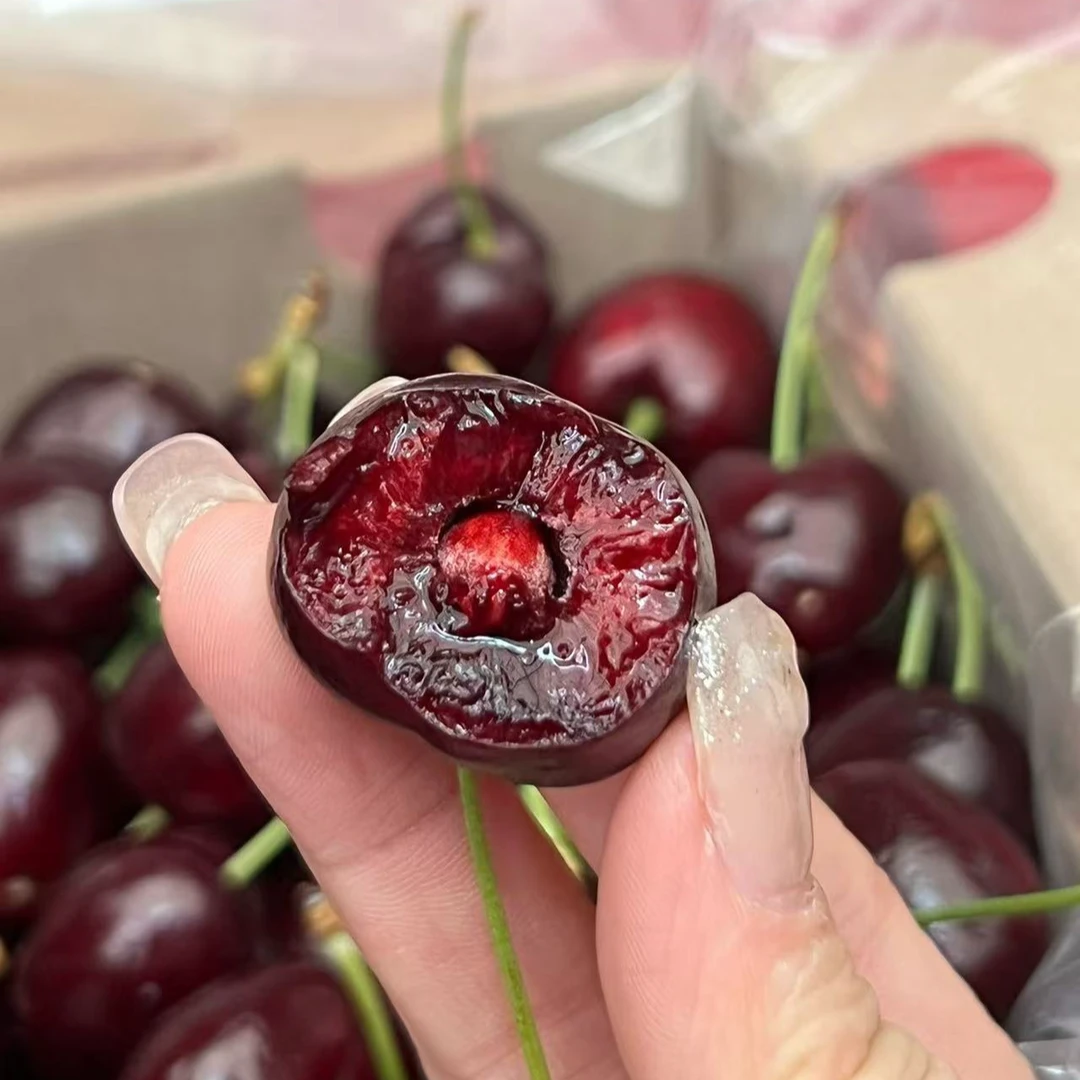 智利海运车厘子3JDD5斤/10斤净重 桑提娜 脆甜多汁 内附果径卡