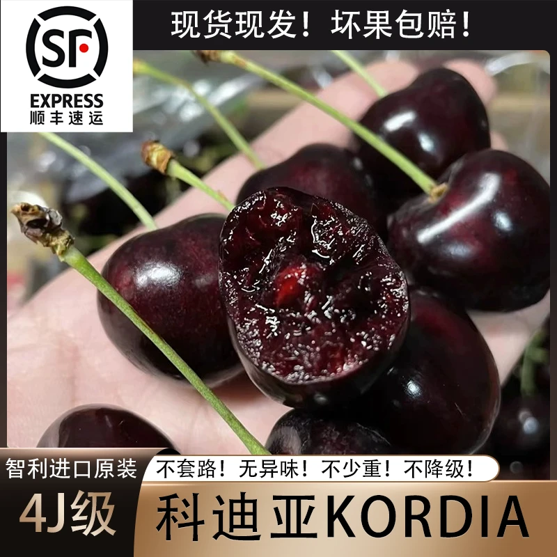 5斤智利进口科迪亚黑车KORDIA车厘子当季限定J-4J现货顺丰空运