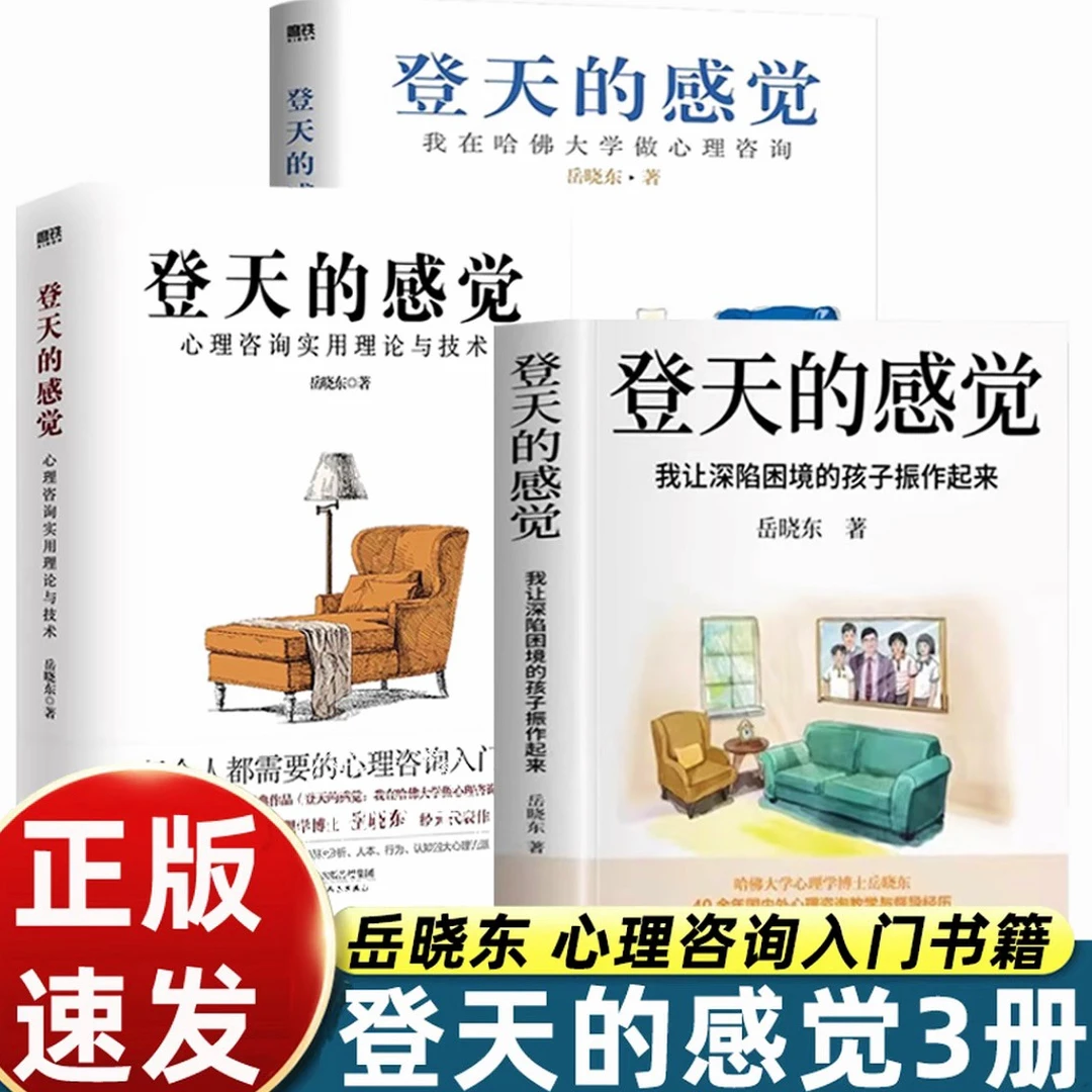 正版岳晓东登天的感觉我让深陷困境的孩子振作起来哈佛心理学书籍