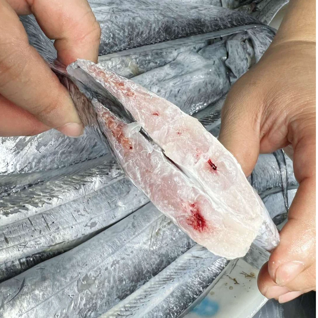 【油带鱼】正宗舟山小眼带鱼 东海带鱼 肉质鲜嫩 新鲜海捕