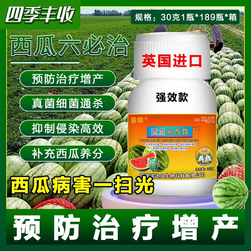 西瓜六必治西瓜病全治死苗蔓枯赤斑枯萎瓜类通用微生物菌剂叶面肥