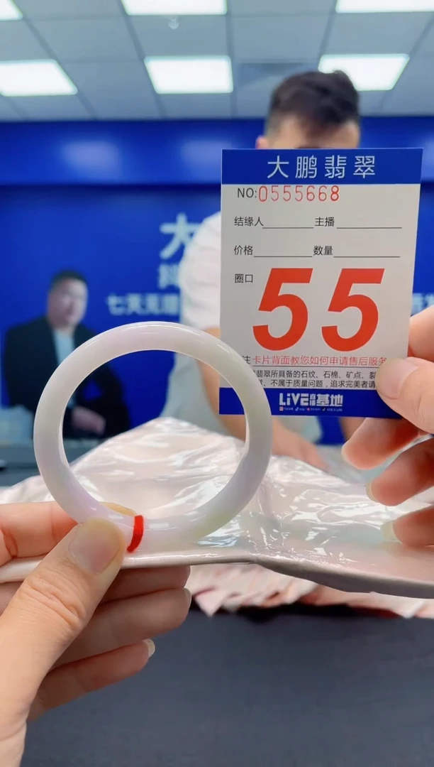 未镶嵌手镯翡翠AAAAAAAAA