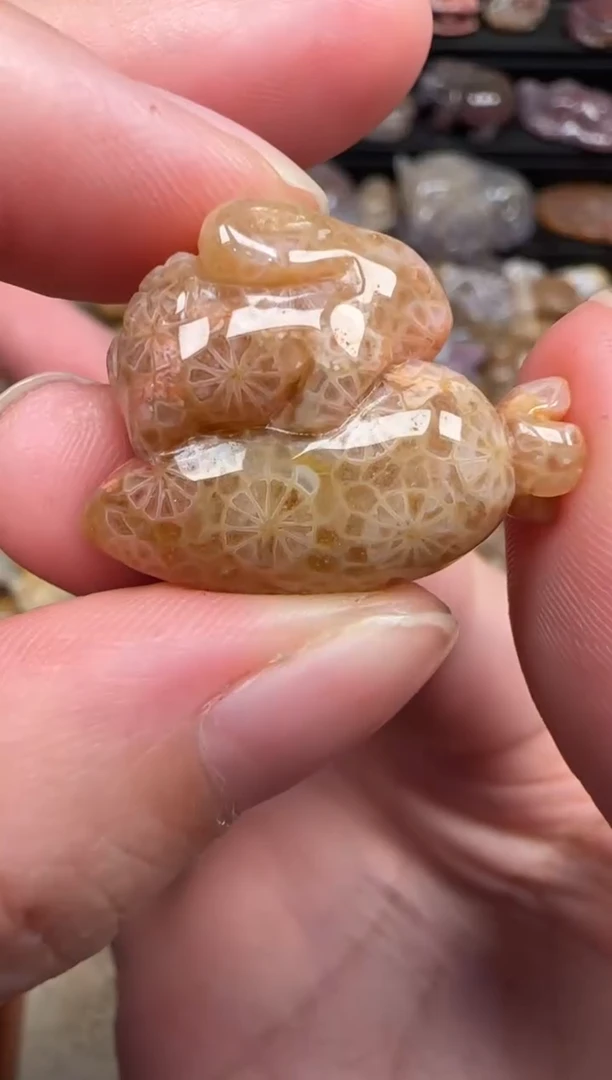 颈饰未镶嵌硅化珊瑚（珊瑚玉）366