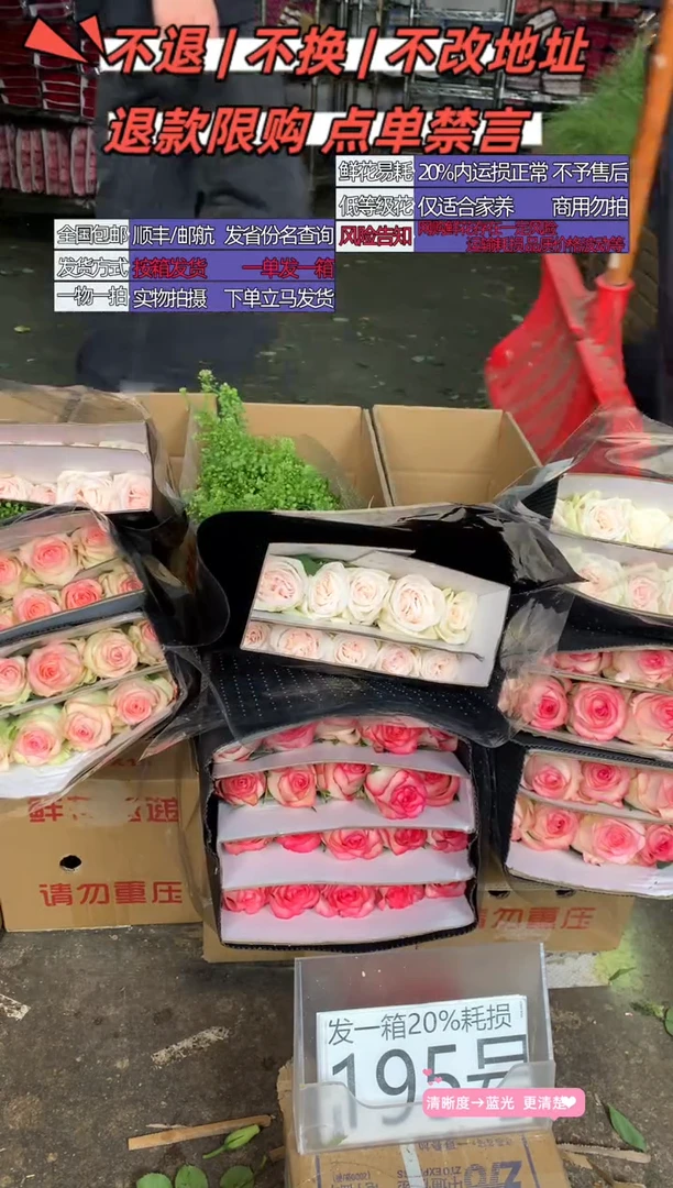195号♥含20%耗损发一箱
