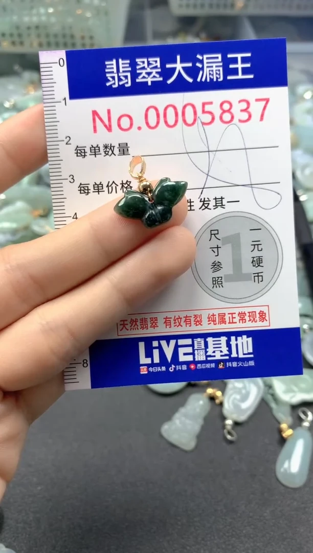 颈饰未镶嵌翡翠5837