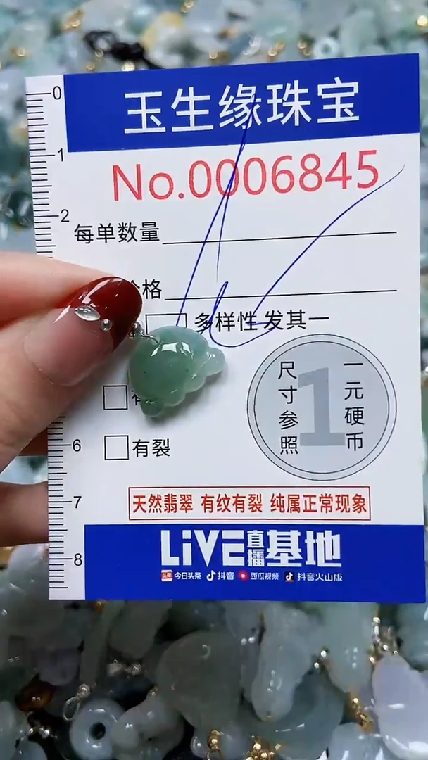 【闪购商品】翡翠颈饰未镶嵌闪购00006845