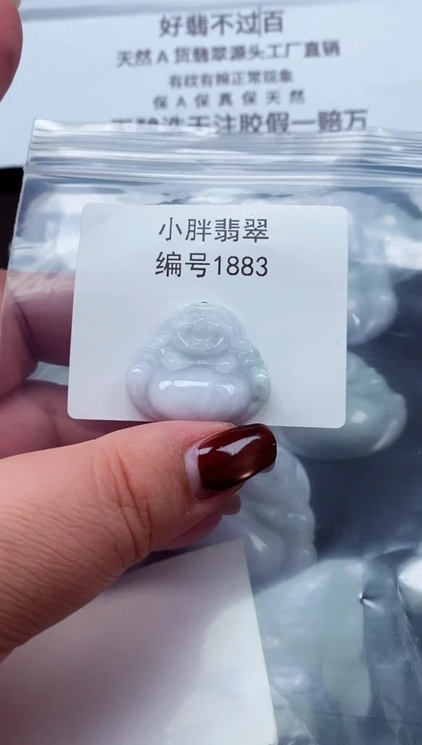 颈饰未镶嵌翡翠缅甸天然A货翡翠1993