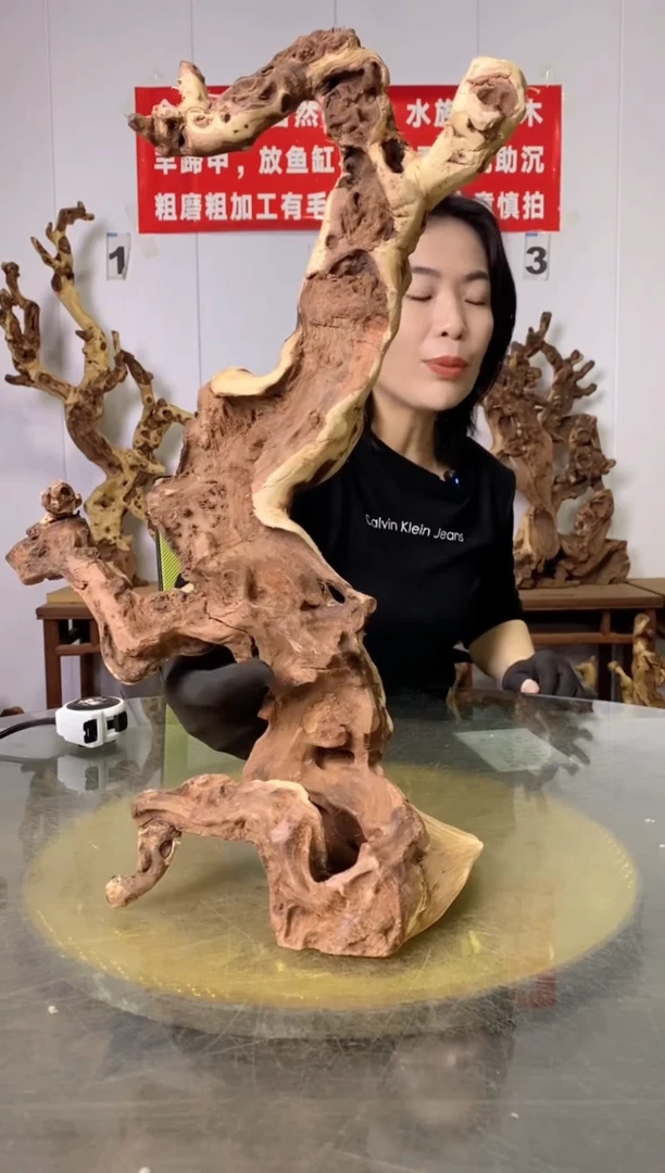 【闪购商品】木35金丝红木 羊蹄甲