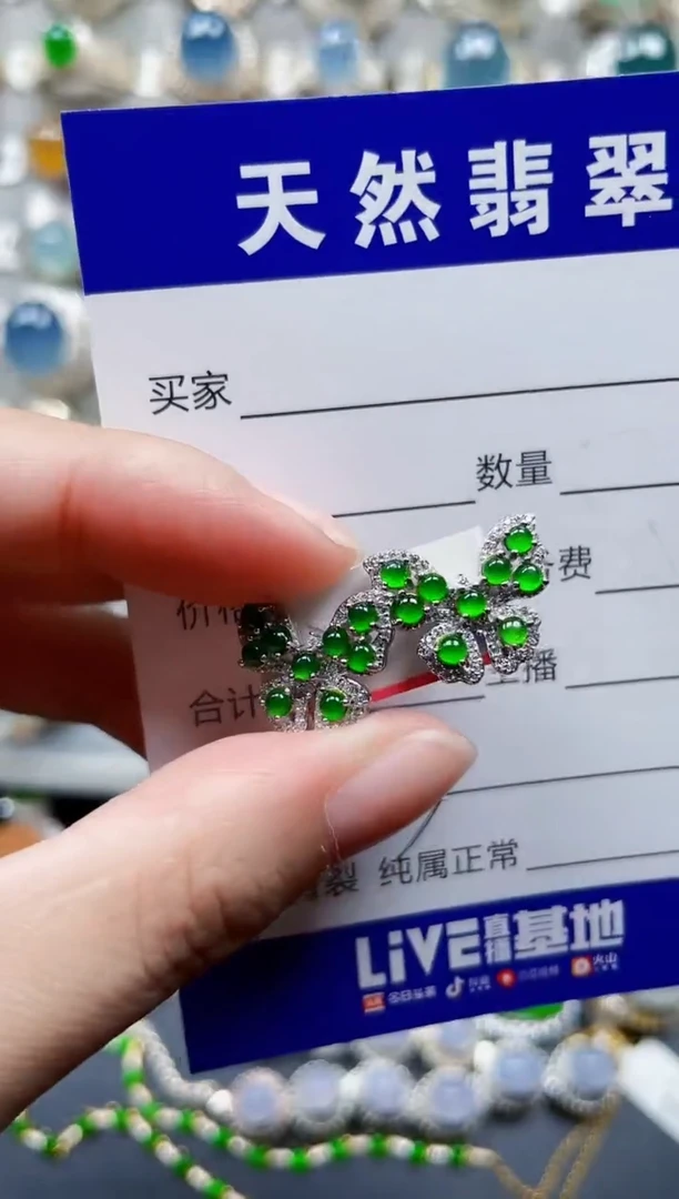 银S925镶嵌翡翠耳饰643