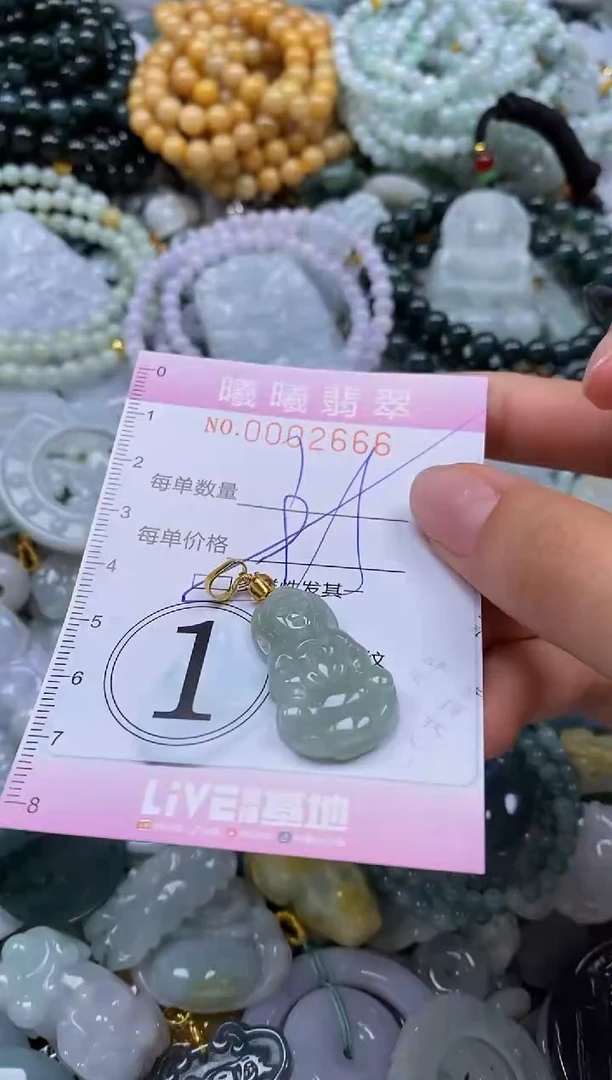 翡翠未镶嵌颈饰闪购0002666多样性发其一