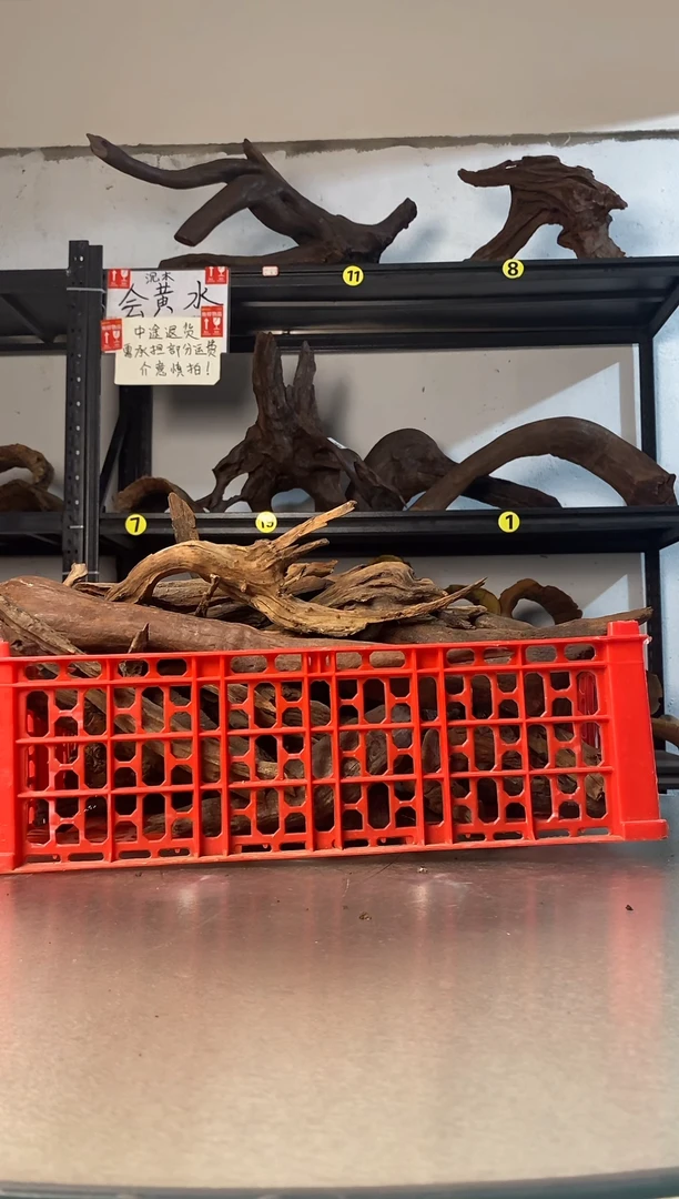 锦**族鱼缸爬宠造景素材343