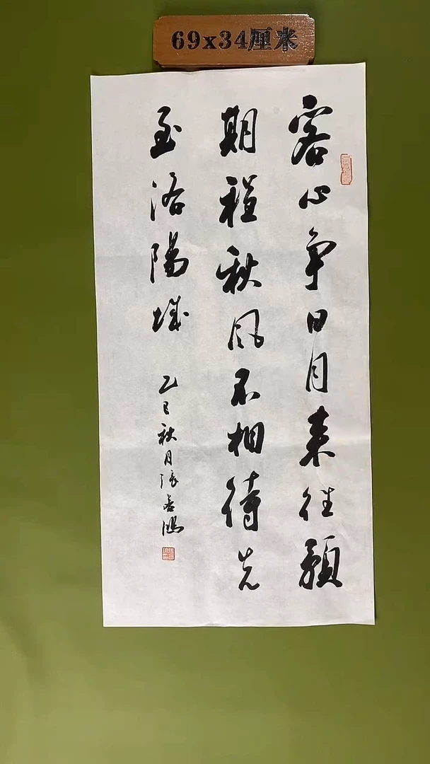 书法书法 张若鸿 尺寸69cm*34cm