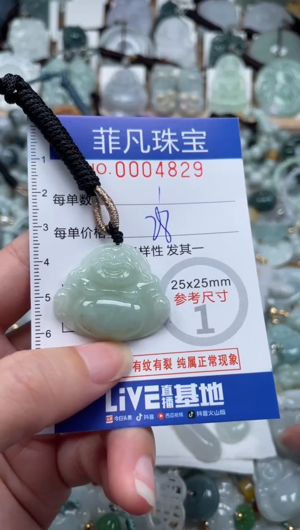 翡翠未镶嵌颈饰00..4829