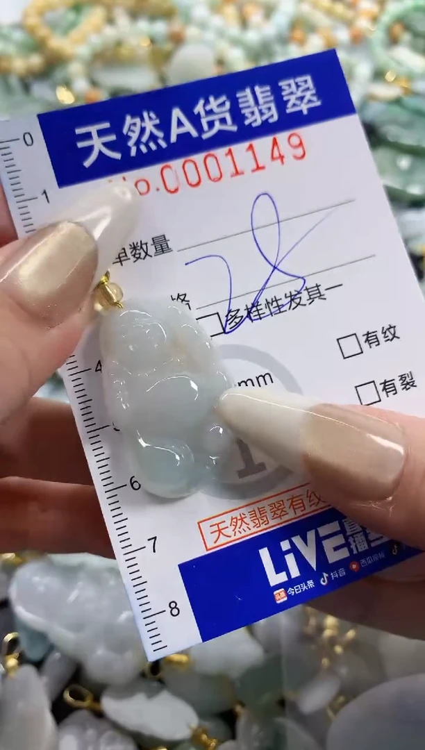 颈饰未镶嵌翡翠天然A货翡翠
