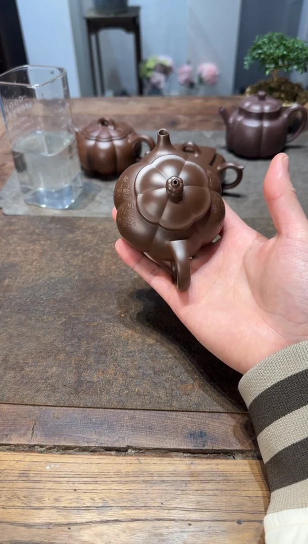茶壶紫砂好**了大鱼海棠