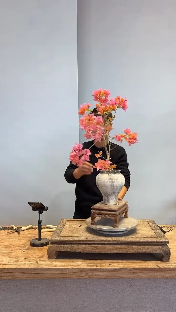 以实际为准三角梅16