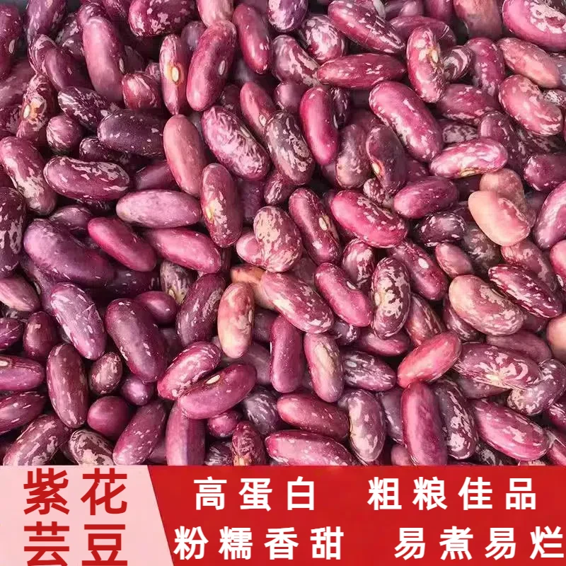 花芸豆紫花芸豆红芸豆农家自种优质植物蛋白健康粗粮煮粥煲汤炖肉