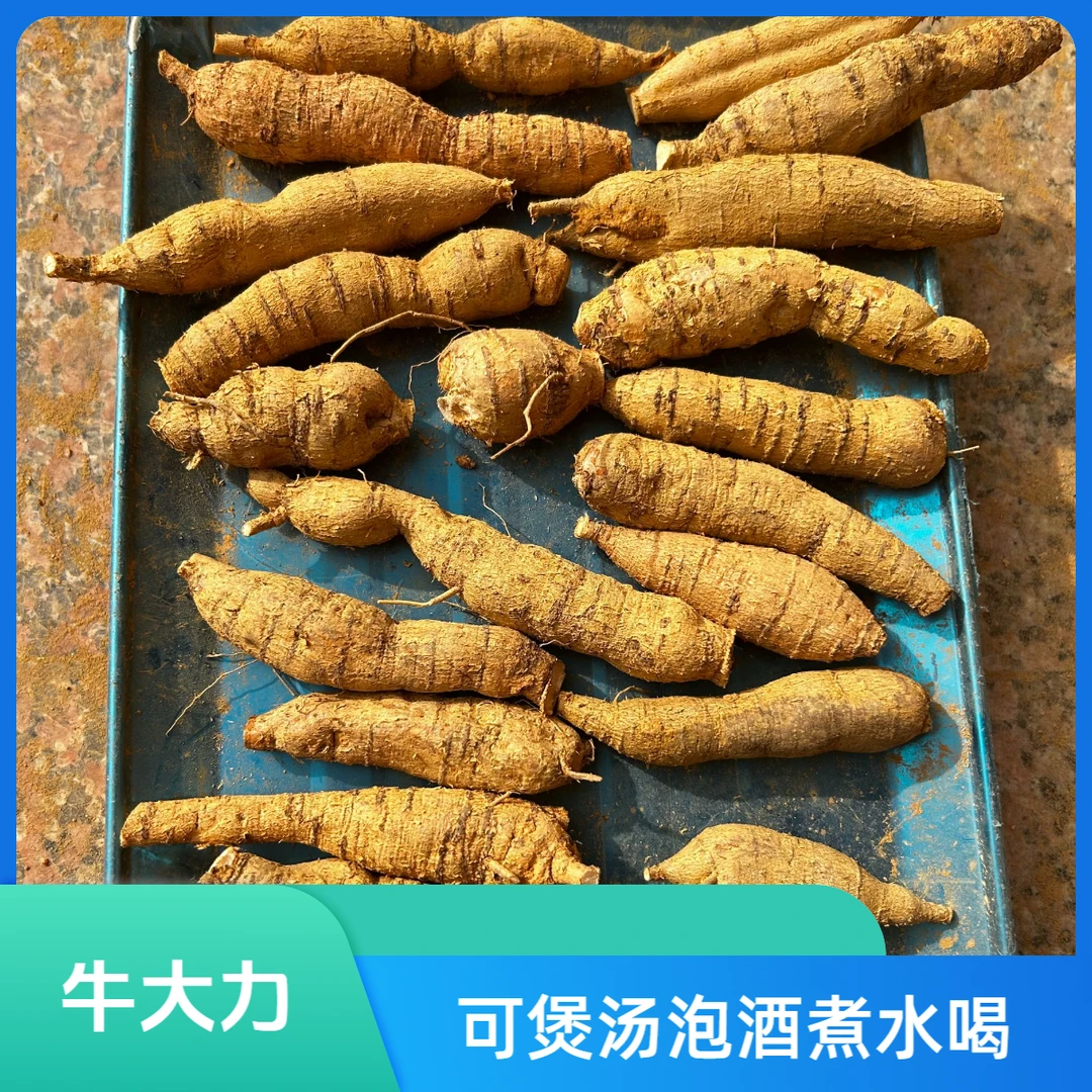 新鲜现挖牛大力大力薯长条粉质薯煲汤泡酒佳品（小牛1斤）