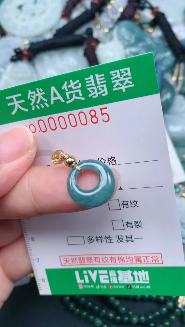 翡翠未镶嵌颈饰.0000085