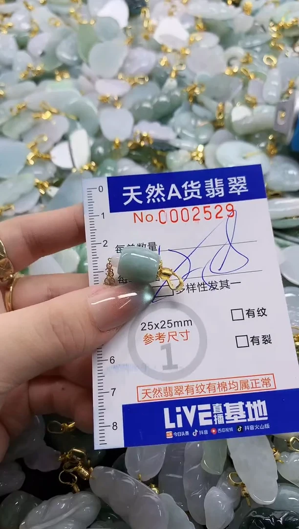 颈饰未镶嵌翡翠天然A货翡翠