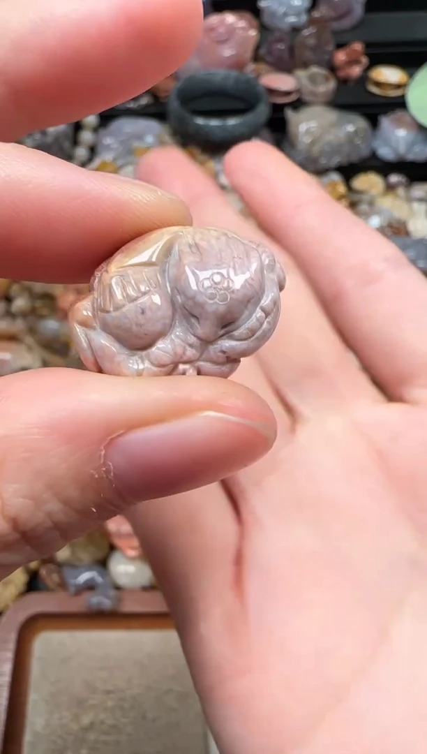 颈饰未镶嵌硅化珊瑚（珊瑚玉）705