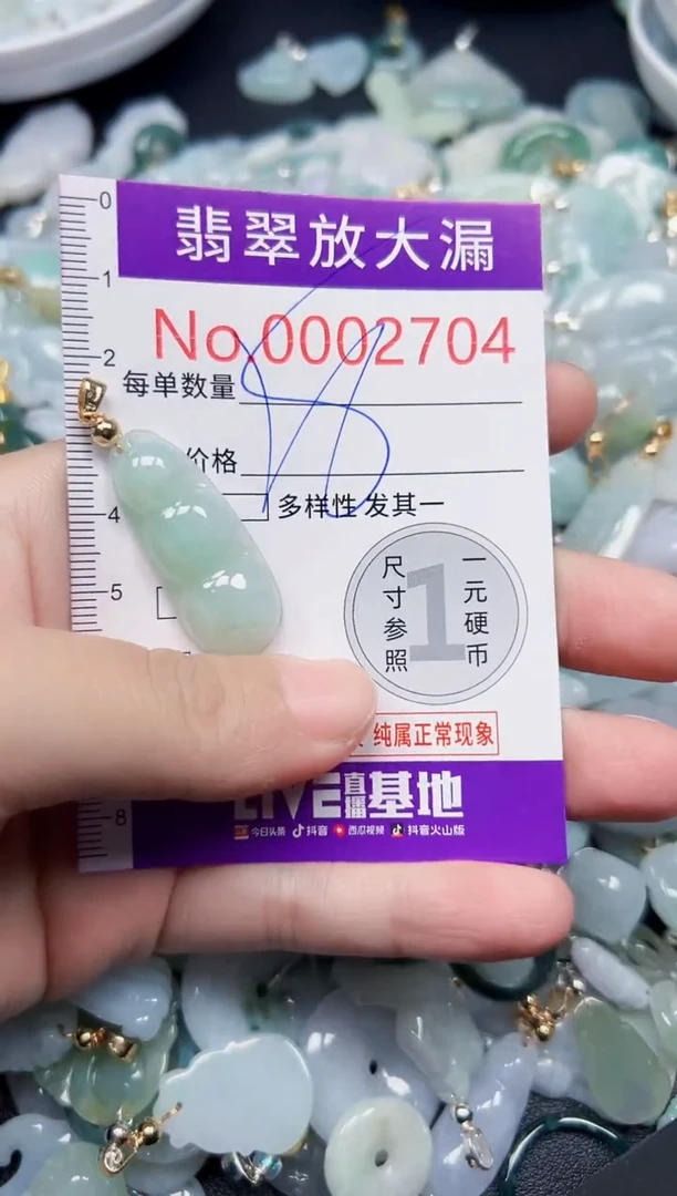 颈饰未镶嵌翡翠2704