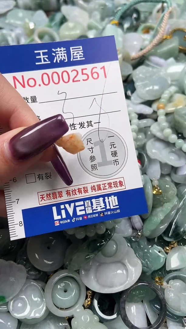 颈饰未镶嵌翡翠2561