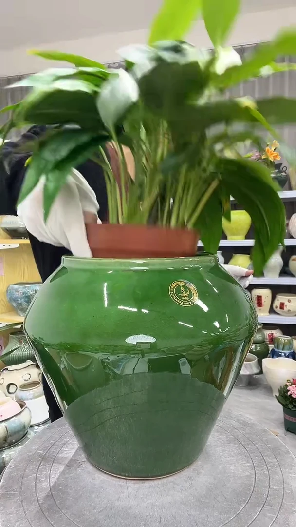 【11.15号】直播链接  高： 20 口：14