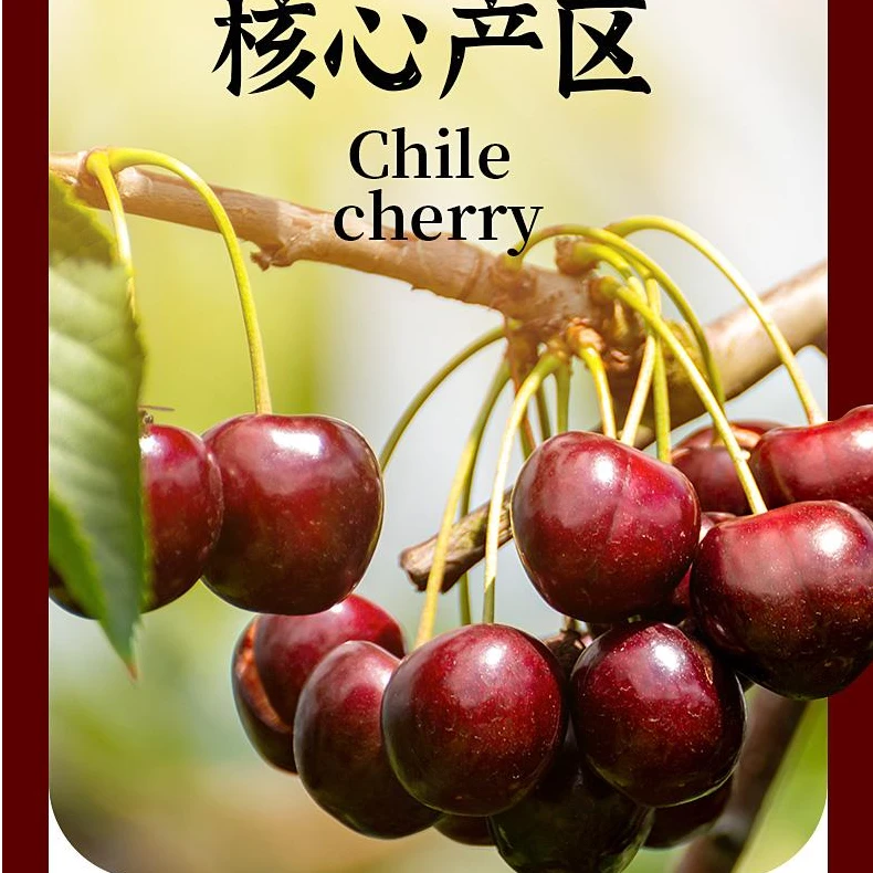 【源头直发】智力进口车厘子J-4J5-10斤新柜到货/次日达包邮到家