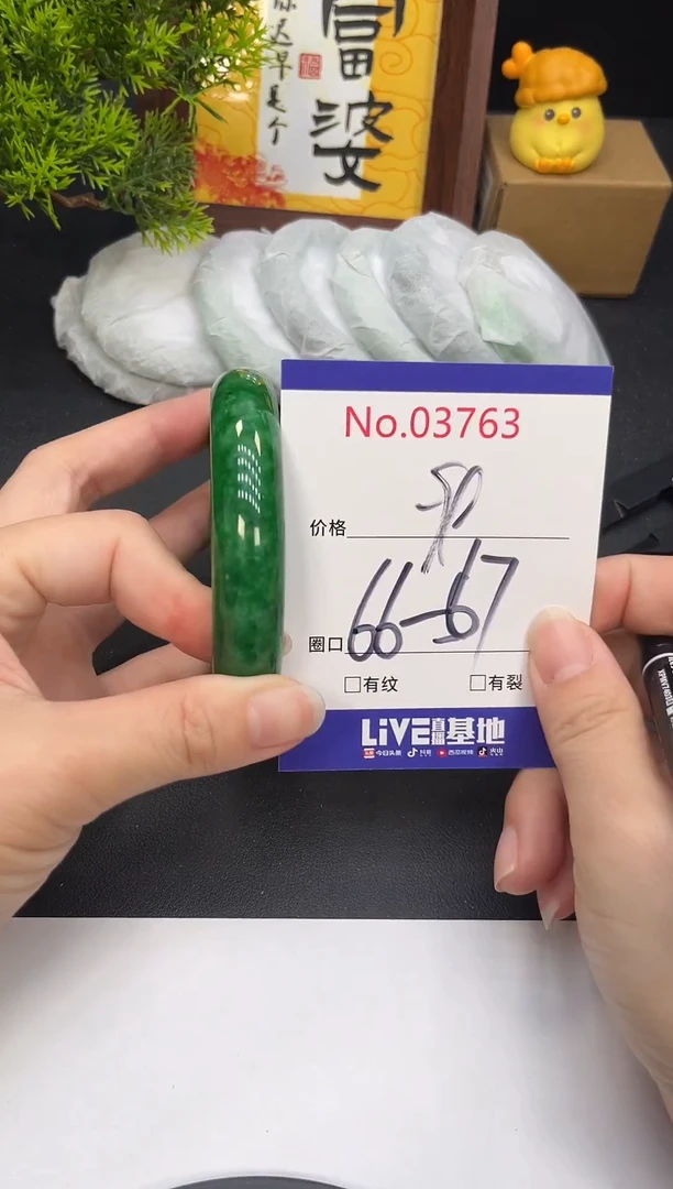 未镶嵌手镯翡翠3763
