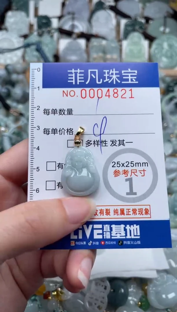 翡翠未镶嵌颈饰00..4821
