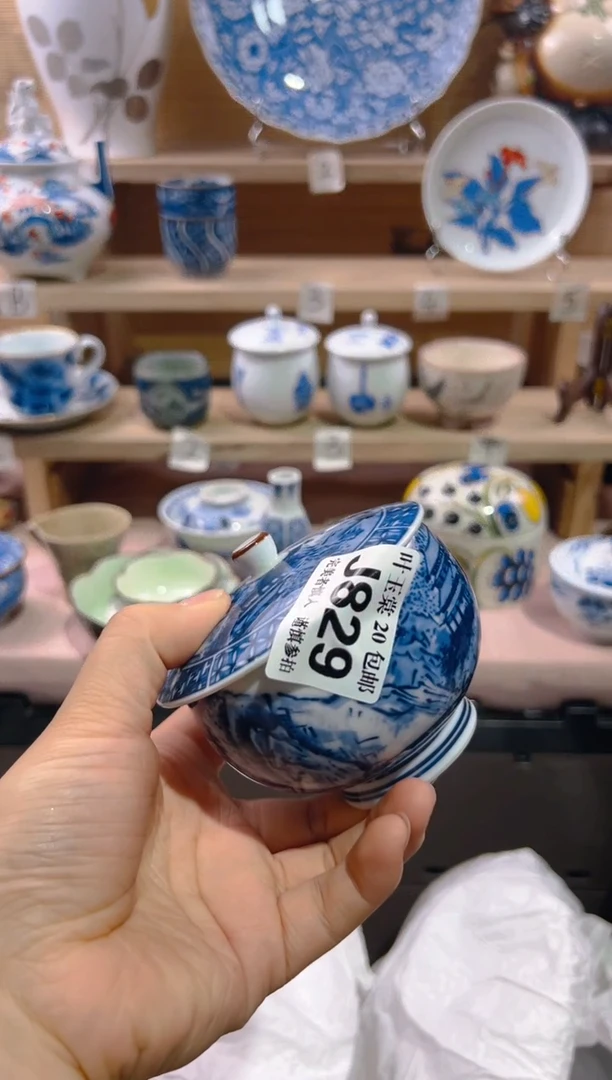 瓷片           J829