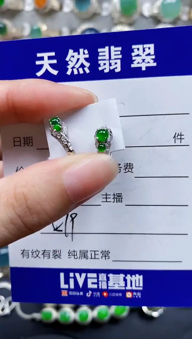 翡翠银S925镶嵌耳饰579