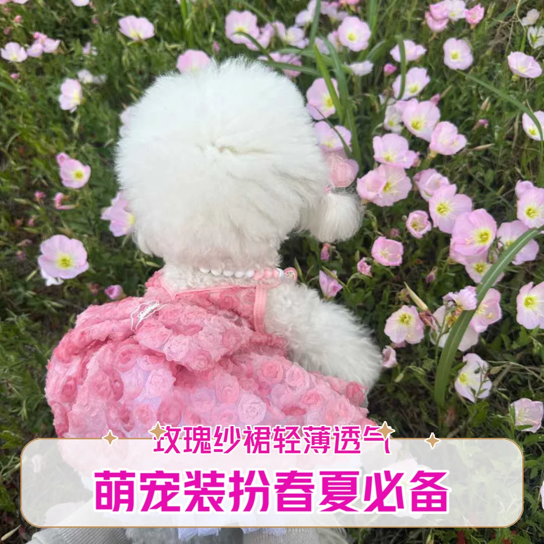 wonderful fate宠物春夏玫瑰花纱裙轻薄透气易穿脱猫咪狗狗