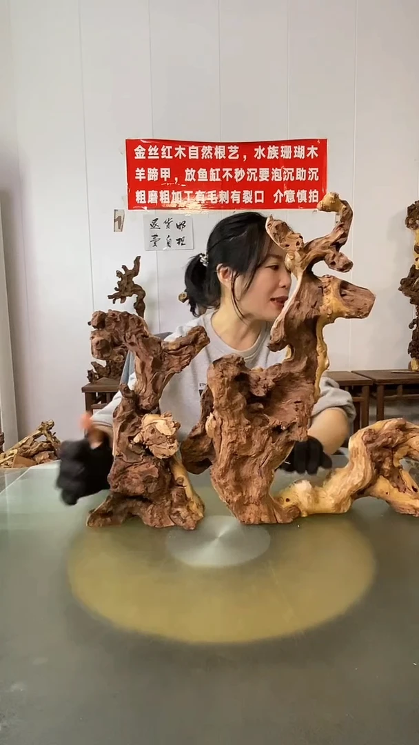 木江**鸟金丝红木 羊蹄甲2