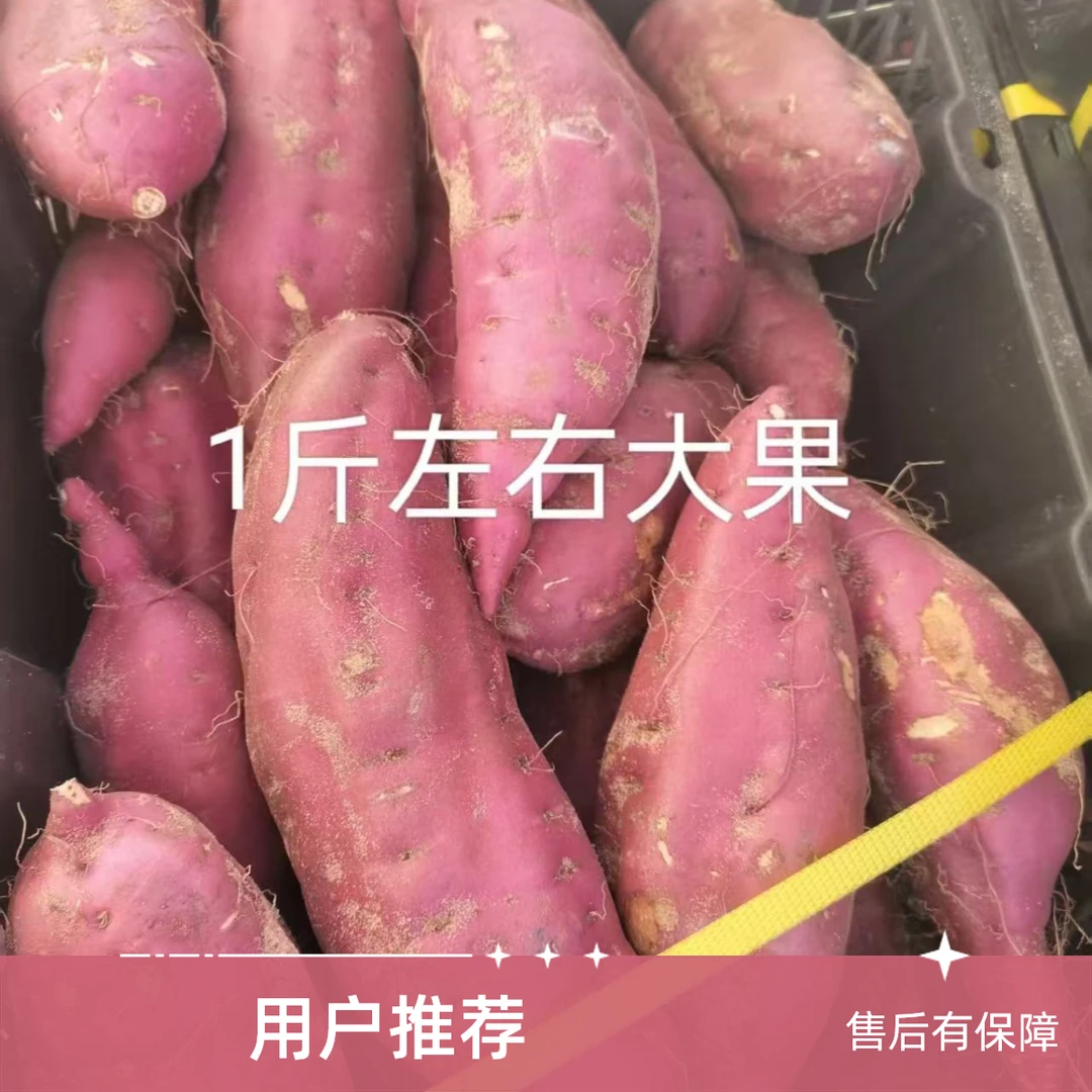 海南桥头地瓜拍5发9斤粉糯香甜 京东顺丰包邮桥头地瓜天津市